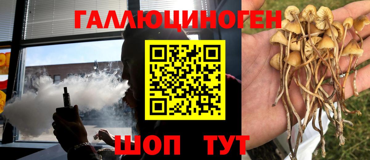 Галлюциногенные грибы мицелий Армавир